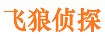 浮山婚外情调查取证